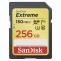 Paměťová karta extreme 256 GB SDXC SDSDXV5-256G-GNCIN