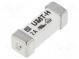 Poistka  tavná  pomalá  2A  277VAC  250VDC  SMD  keramická  5,3x16mm