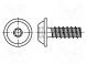 Vrut  pre plasty  3x20  Hlavica  guľatá  Torx® PLUS  10IP  BN  20165