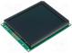 Displej  LCD  grafický  FSTN Negative  160x128  LED  PIN 20